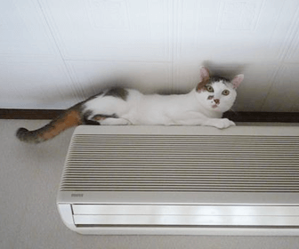 猫のお留守番時のエアコン・冷暖房設定