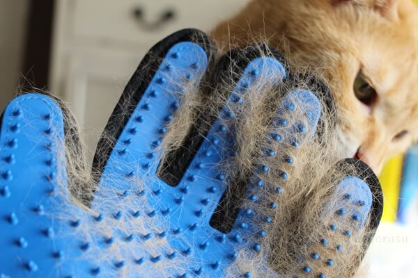 グルーミンググローブで採れた猫の毛