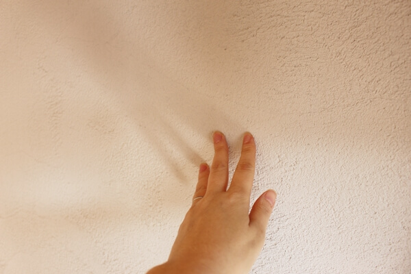 サノスケ不動産猫用賃貸住宅の壁はシラス壁で吸湿消臭性が高い