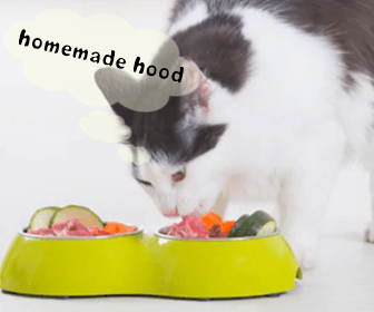 猫用の手作り食