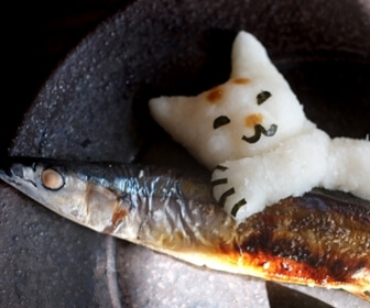 猫の手作り食に使える魚