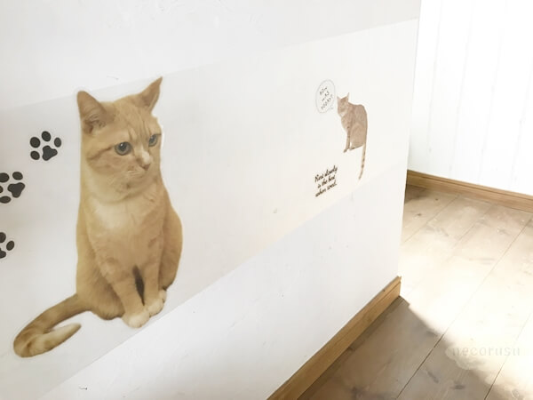 猫の爪とぎ防止シートを貼った壁