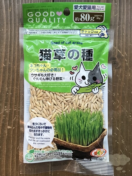 100円ショップで買える猫草の種