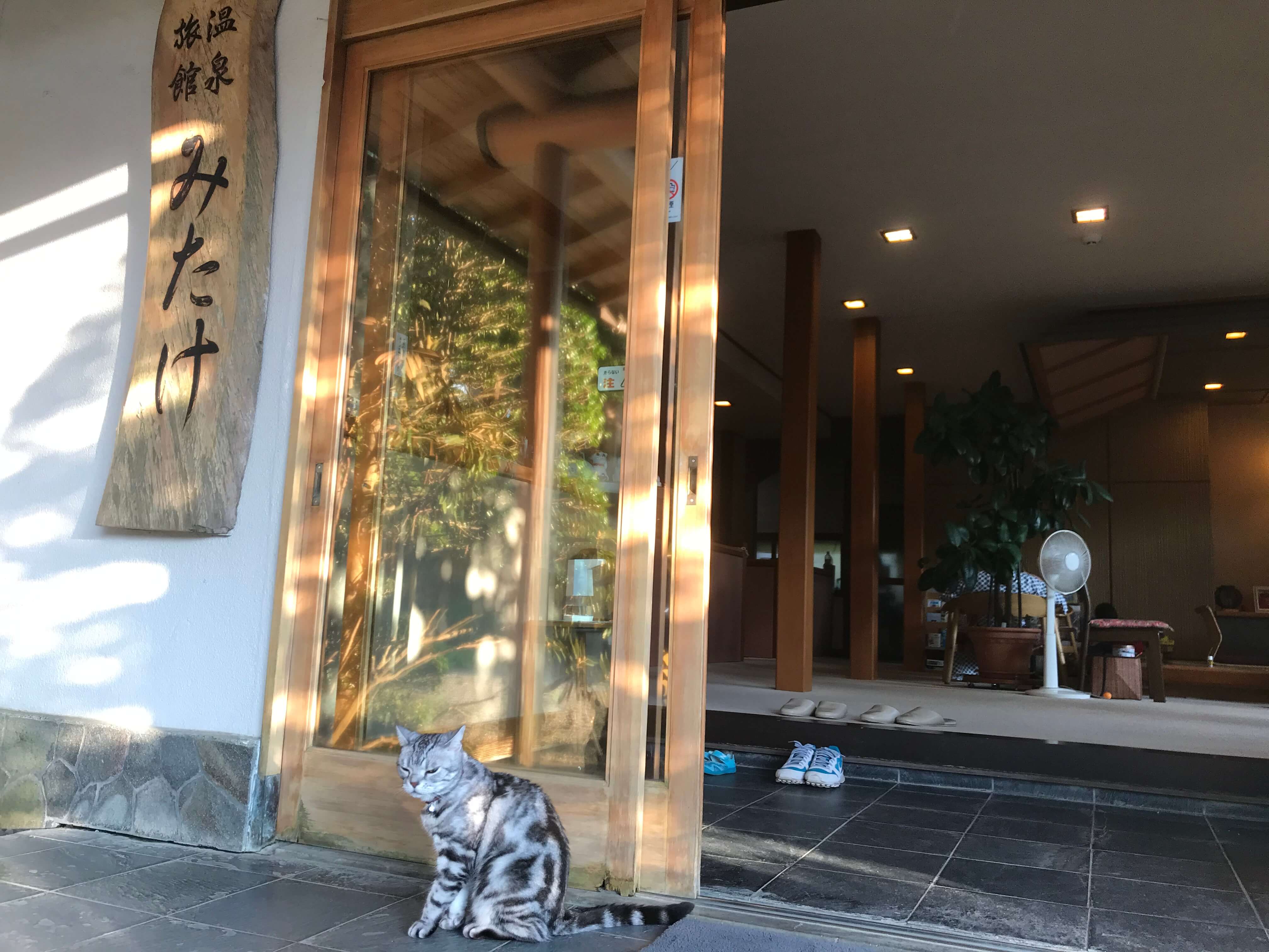 箱根仙石原、猫のいる温泉旅館みたけ