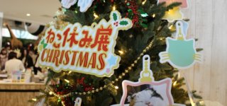 ねこ休み展in横浜みなとみらいのクリスマスツリー